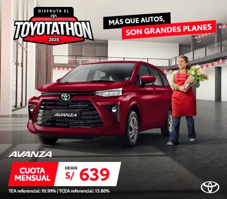 AVANZA NOVIEMBRE 2025