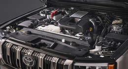 Desempeño modelo thumb