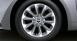 1.6 L modelo thumb