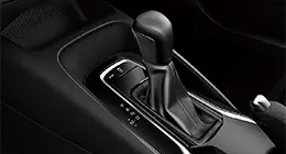 1.6 L modelo thumb