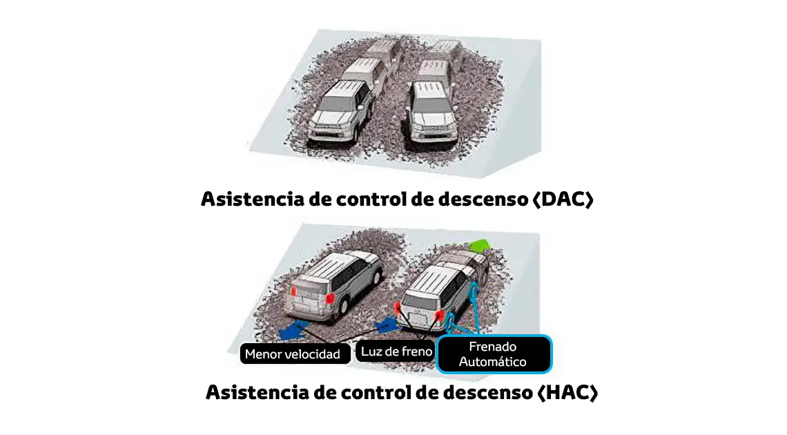 Seguridad