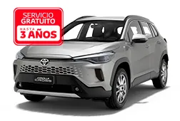 Servicio gratuito 1 año